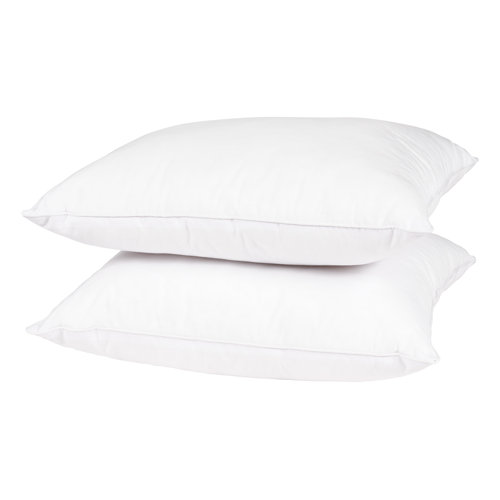 Wayfair Basics® Didomenico Euro Square Pillow Insert Wayfair